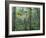 Montage, Owl, Forest, Oregon, USA-Nancy Rotenberg-Framed Photographic Print