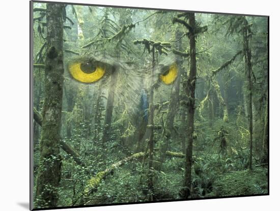 Montage, Owl, Forest, Oregon, USA-Nancy Rotenberg-Mounted Photographic Print