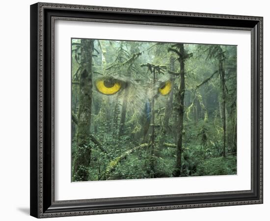 Montage, Owl, Forest, Oregon, USA-Nancy Rotenberg-Framed Photographic Print