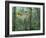 Montage, Owl, Forest, Oregon, USA-Nancy Rotenberg-Framed Photographic Print