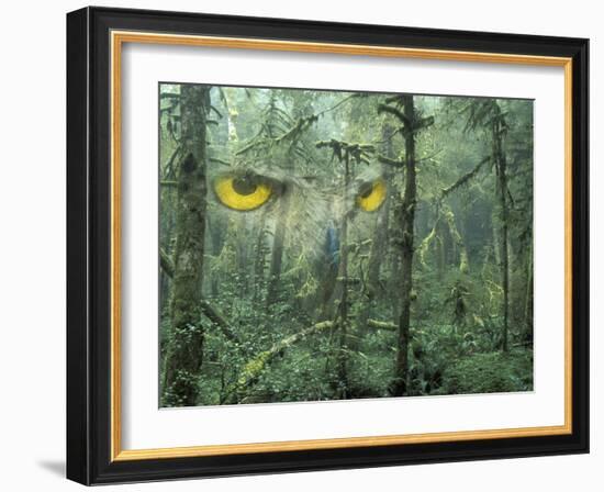 Montage, Owl, Forest, Oregon, USA-Nancy Rotenberg-Framed Photographic Print