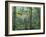 Montage, Owl, Forest, Oregon, USA-Nancy Rotenberg-Framed Photographic Print