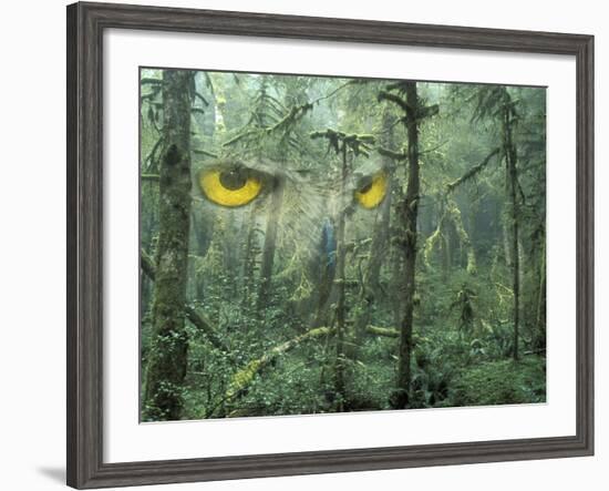 Montage, Owl, Forest, Oregon, USA-Nancy Rotenberg-Framed Photographic Print