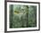 Montage, Owl, Forest, Oregon, USA-Nancy Rotenberg-Framed Photographic Print