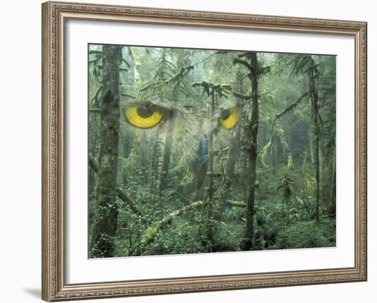 Montage, Owl, Forest, Oregon, USA-Nancy Rotenberg-Framed Photographic Print