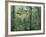 Montage, Owl, Forest, Oregon, USA-Nancy Rotenberg-Framed Photographic Print