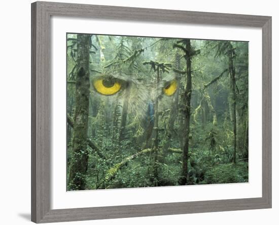 Montage, Owl, Forest, Oregon, USA-Nancy Rotenberg-Framed Photographic Print