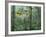 Montage, Owl, Forest, Oregon, USA-Nancy Rotenberg-Framed Photographic Print