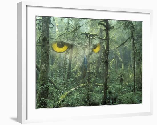 Montage, Owl, Forest, Oregon, USA-Nancy Rotenberg-Framed Photographic Print