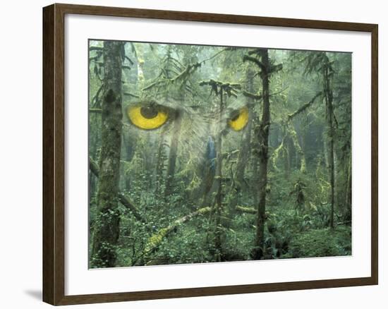 Montage, Owl, Forest, Oregon, USA-Nancy Rotenberg-Framed Photographic Print