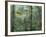 Montage, Owl, Forest, Oregon, USA-Nancy Rotenberg-Framed Photographic Print