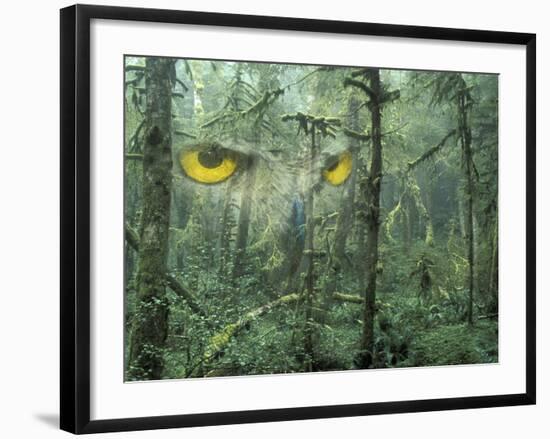 Montage, Owl, Forest, Oregon, USA-Nancy Rotenberg-Framed Photographic Print