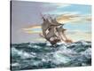 Stretched Canvas Print