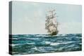 Stretched Canvas Print
