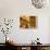 Montalcino, Basket Seller and Wall, Tuscany, Italy-Walter Bibikow-Photographic Print displayed on a wall