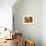 Montalcino, Basket Seller and Wall, Tuscany, Italy-Walter Bibikow-Framed Premium Photographic Print displayed on a wall