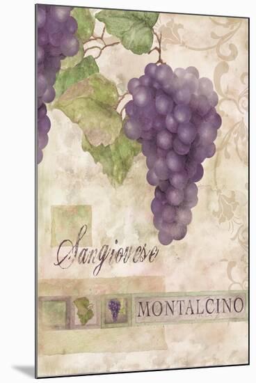 Montalcino Sangiovese 2-Maria Trad-Mounted Giclee Print