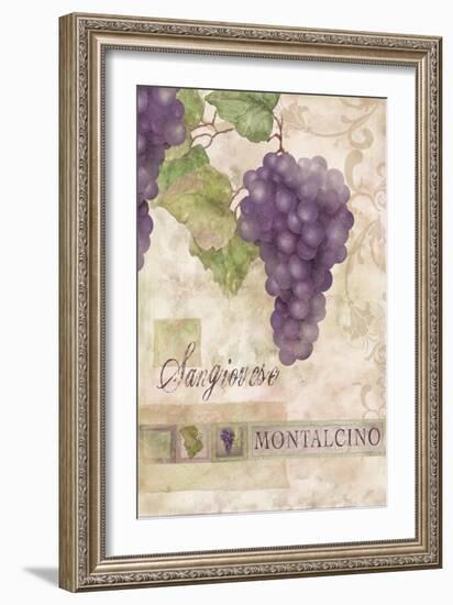 Montalcino Sangiovese 2-Maria Trad-Framed Premium Giclee Print