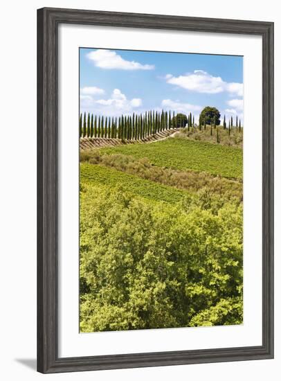 Montalcino-lachris77-Framed Photographic Print