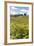 Montalcino-lachris77-Framed Photographic Print