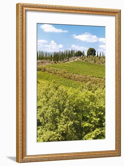 Montalcino-lachris77-Framed Photographic Print