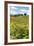 Montalcino-lachris77-Framed Photographic Print