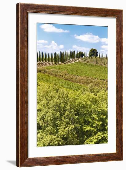 Montalcino-lachris77-Framed Photographic Print