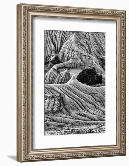 Montana. Black and White Image of Unusual Erosion Formations Found in Makoshika State Park-Judith Zimmerman-Framed Photographic Print