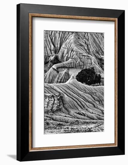 Montana. Black and White Image of Unusual Erosion Formations Found in Makoshika State Park-Judith Zimmerman-Framed Photographic Print