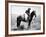 Montana: Cowboy, 1904-Laton Alton Huffman-Framed Photographic Print