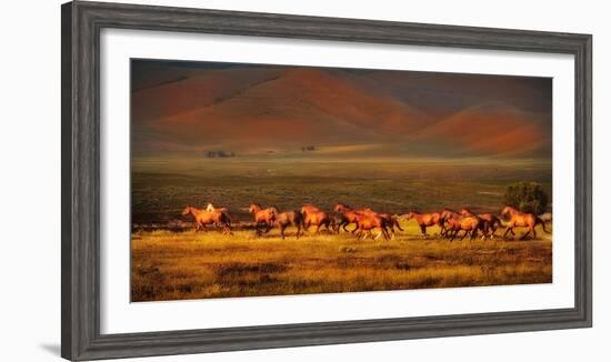 Montana Dreaming-Lisa Dearing-Framed Photographic Print