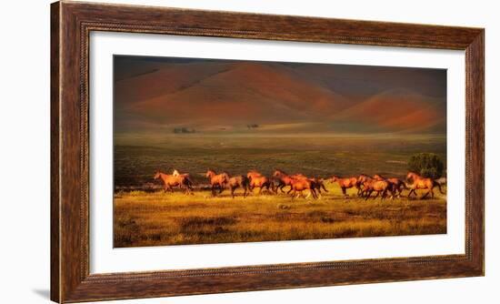 Montana Dreaming-Lisa Dearing-Framed Photographic Print