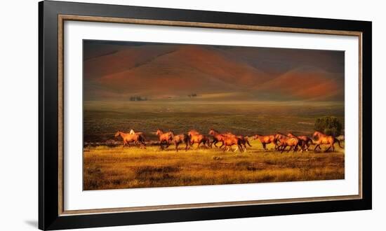 Montana Dreaming-Lisa Dearing-Framed Photographic Print