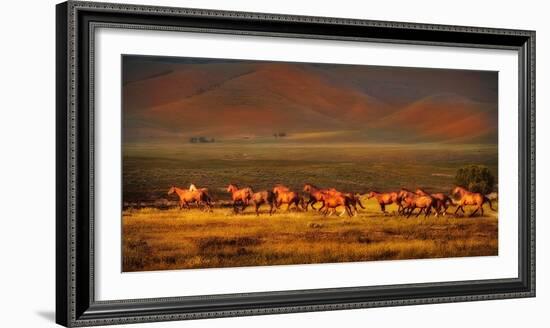 Montana Dreaming-Lisa Dearing-Framed Photographic Print