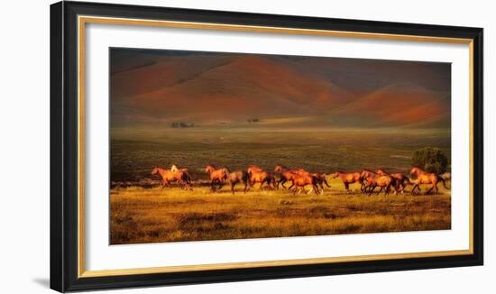 Montana Dreaming-Lisa Dearing-Framed Photographic Print