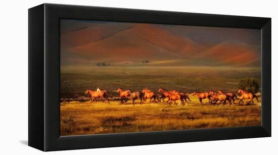 Montana Dreaming-Lisa Dearing-Framed Premier Image Canvas