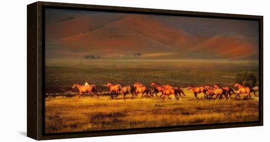 Montana Dreaming-Lisa Dearing-Framed Premier Image Canvas