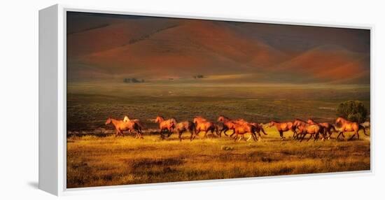 Montana Dreaming-Lisa Dearing-Framed Premier Image Canvas