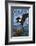 Montana - Eagle Perched with Chicks-Lantern Press-Framed Art Print