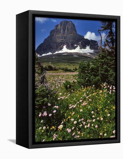 Montana, Glacier NP. Clements Mountain and Field of Arnica and Asters-Steve Terrill-Framed Premier Image Canvas