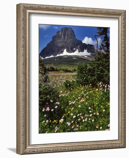 Montana, Glacier NP. Clements Mountain and Field of Arnica and Asters-Steve Terrill-Framed Photographic Print