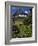 Montana, Glacier NP. Clements Mountain and Field of Arnica and Asters-Steve Terrill-Framed Photographic Print