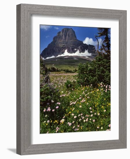 Montana, Glacier NP. Clements Mountain and Field of Arnica and Asters-Steve Terrill-Framed Photographic Print