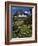 Montana, Glacier NP. Clements Mountain and Field of Arnica and Asters-Steve Terrill-Framed Photographic Print