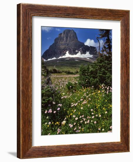 Montana, Glacier NP. Clements Mountain and Field of Arnica and Asters-Steve Terrill-Framed Photographic Print