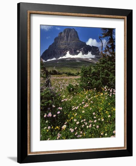 Montana, Glacier NP. Clements Mountain and Field of Arnica and Asters-Steve Terrill-Framed Photographic Print