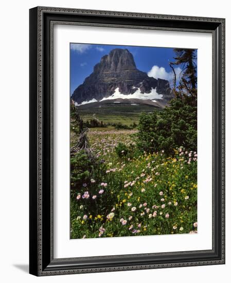 Montana, Glacier NP. Clements Mountain and Field of Arnica and Asters-Steve Terrill-Framed Photographic Print