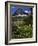 Montana, Glacier NP. Clements Mountain and Field of Arnica and Asters-Steve Terrill-Framed Photographic Print