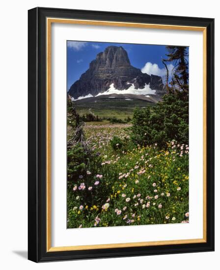 Montana, Glacier NP. Clements Mountain and Field of Arnica and Asters-Steve Terrill-Framed Photographic Print