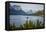 Montana, Glacier NP, Wild Goose Island Seen from Going-To-The-Sun Road-Rona Schwarz-Framed Premier Image Canvas